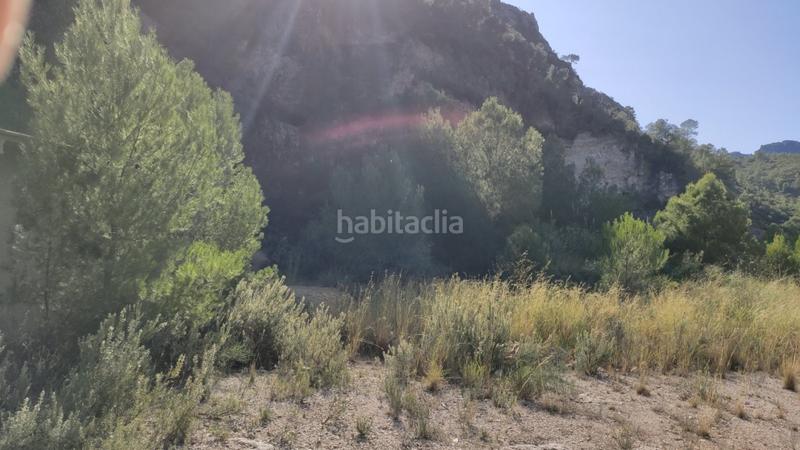 Foto 39c313e1-4e01-4c64-ab26-4553fe8bd18f. Mas dans Atzúbia (L´)