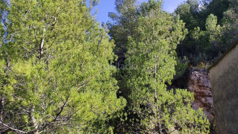 Foto 417051a0-457e-4154-9f12-c809d8cd933f. Mas dans Atzúbia (L´)