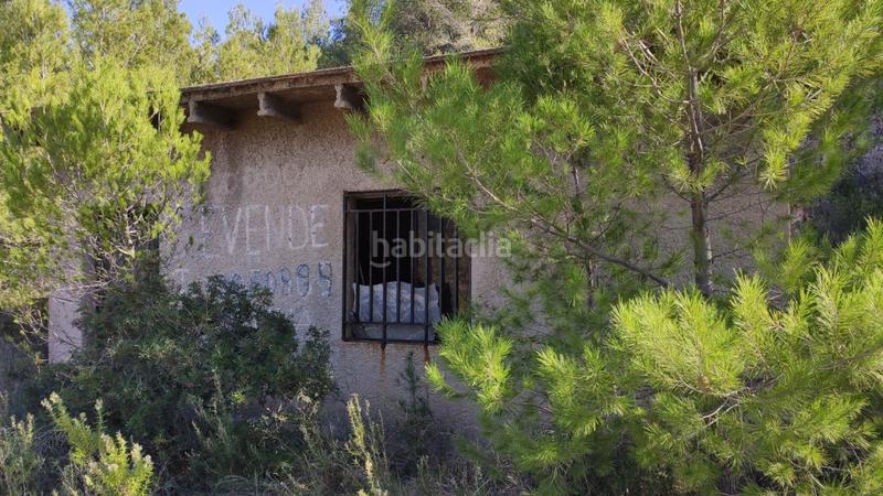 Foto 44768ea2-2aa7-43e7-b736-0a00a0f7ea88. Mas dans Atzúbia (L´)