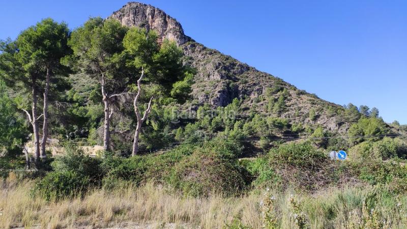 Foto 6637a4f5-de7e-4165-9988-8f5ecb8d5a8d. Mas dans Atzúbia (L´)