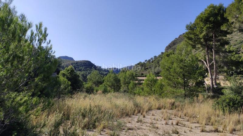 Foto a8a3d038-736e-4b96-b6a8-81a49cb2a3e4. Mas dans Atzúbia (L´)