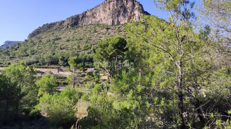 Foto aebe6089-8bf4-4927-8ab0-98d7f3ce862d. Mas dans Atzúbia (L´)