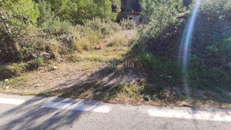 Foto b02759ba-5598-496d-a755-b1f13f130a43. Mas dans Atzúbia (L´)