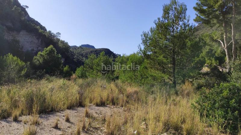 Foto bb9e376a-085e-4315-bcf9-725aafcfab4e. Mas dans Atzúbia (L´)