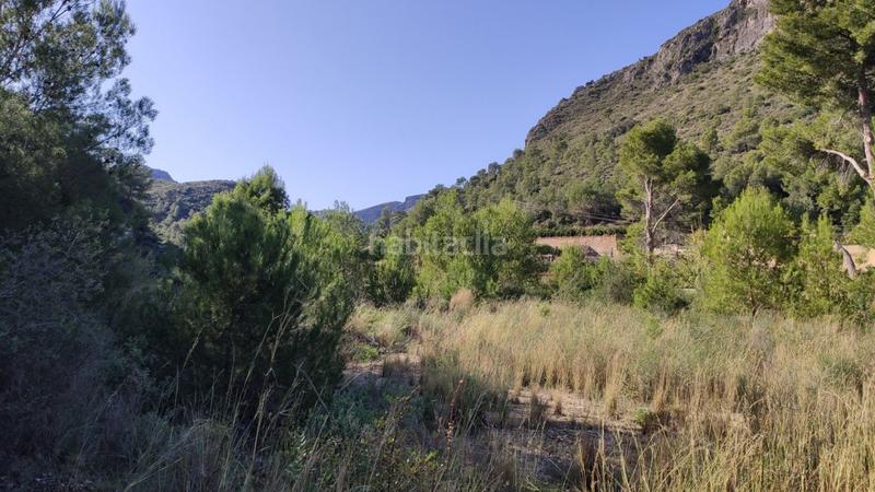 Foto fb1f2dab-d853-4dea-a04a-93d96a8f0cef. Mas dans Atzúbia (L´)