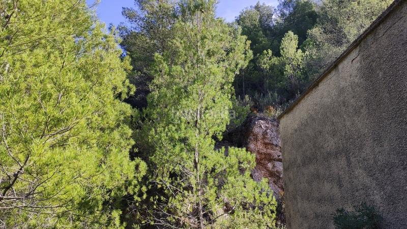 Foto fdf0baf0-84b7-4c32-9300-2ebce0b3e886. Mas dans Atzúbia (L´)