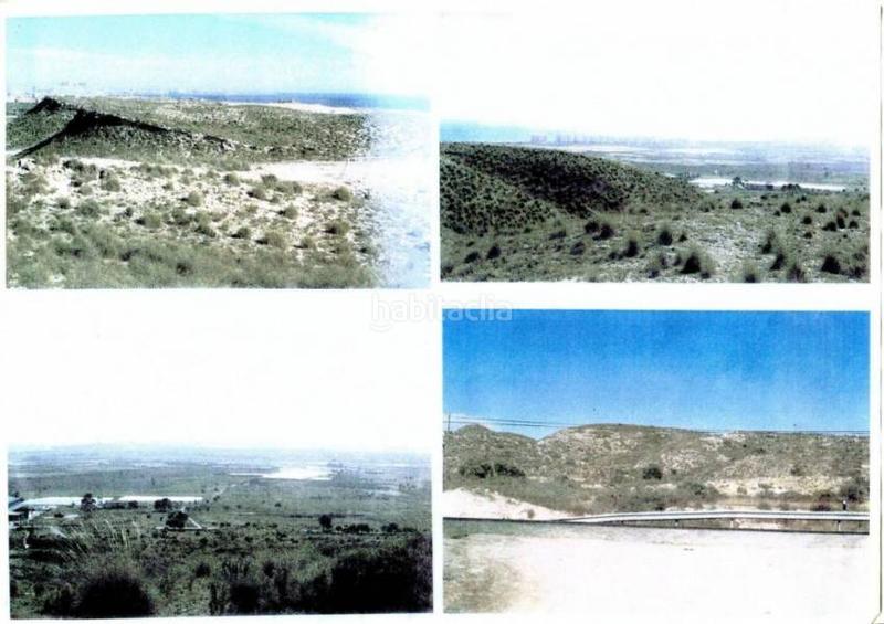 Foto 07d98361-9da9-490a-868b-d255b3d218ee. Finca rústica solar en venta entrada alicante en El Altet Elche / Elx