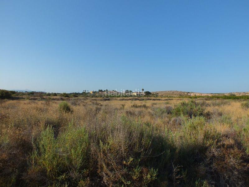 Foto 0dff0a8e-be47-4260-884f-4719974332d9. Rural plot in Los Arenales del Sol Elche / Elx