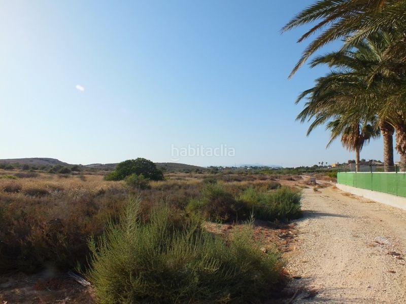 Foto 18c4d1cf-0e91-4b05-96db-f9461396d56b. Rural plot in Los Arenales del Sol Elche / Elx