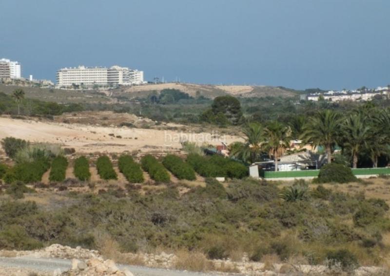 Foto 33bc9e36-aed7-41a5-97f7-e0b8959254e6. Rural plot in Los Arenales del Sol Elche / Elx