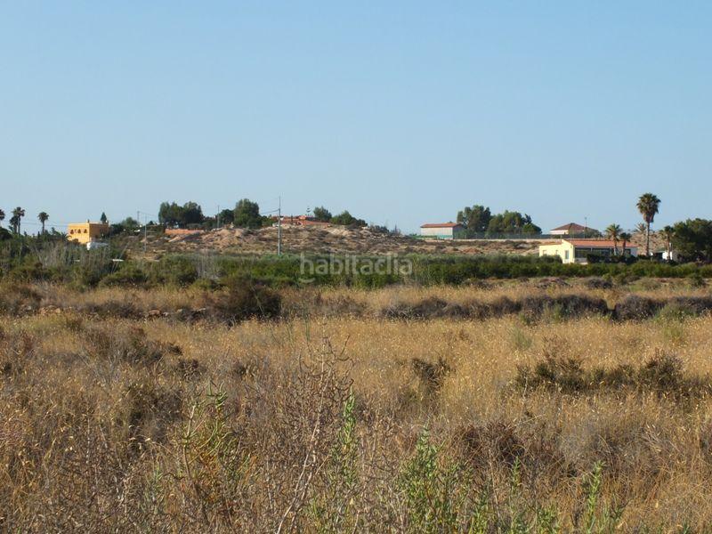 Foto 3d984004-9d0b-4c76-9ca7-c359390f968f. Rural plot in Los Arenales del Sol Elche / Elx