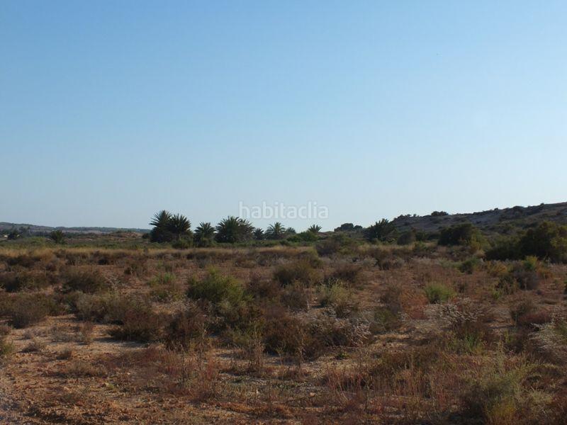 Foto 5c0562e3-ccf5-4be2-87af-d1f1026e74f5. Rural plot in Los Arenales del Sol Elche / Elx