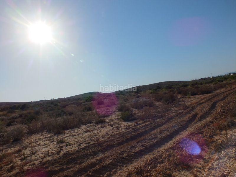 Foto 6f858899-9c65-4cb8-a082-3b5b5568e7da. Rural plot in Los Arenales del Sol Elche / Elx