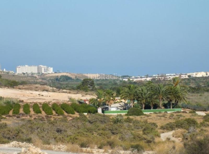 Foto 78346c90-6003-4d72-8303-c1f89c0d466a. Rural plot in Los Arenales del Sol Elche / Elx