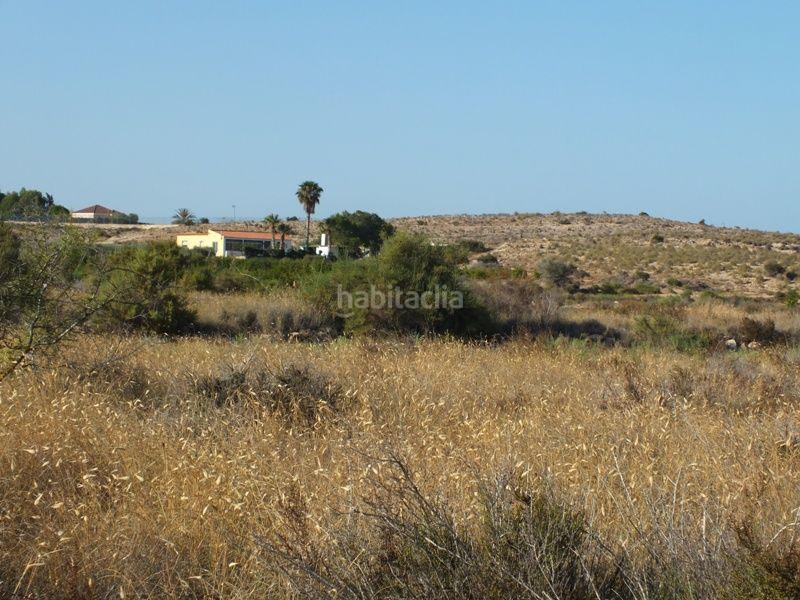 Foto 7c904d2b-783a-4c48-a3db-8e9b01b699b2. Rural plot in Los Arenales del Sol Elche / Elx