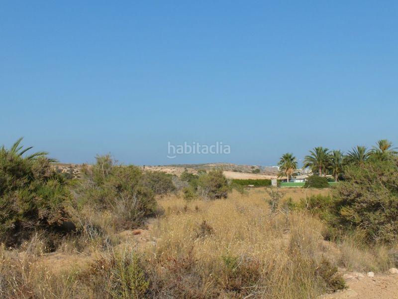 Foto bec8058f-c51a-4a34-8f1e-f2ff7bb68779. Rural plot in Los Arenales del Sol Elche / Elx