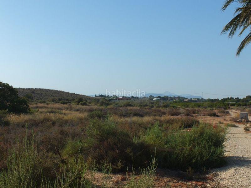 Foto cccdb9fd-af72-4d20-b895-efcde3f81d87. Rural plot in Los Arenales del Sol Elche / Elx
