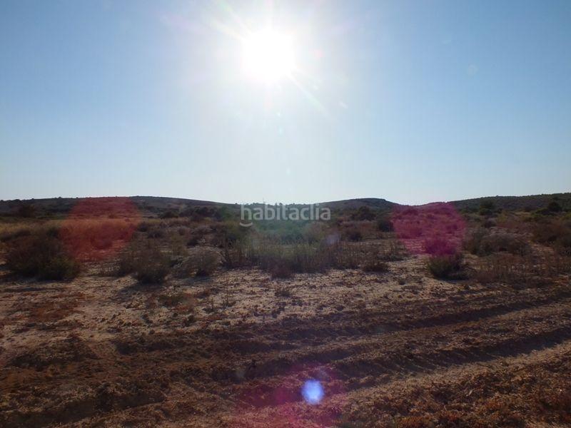 Foto edba0455-ff20-4671-b9fe-c6b13e3bd9d4. Rural plot in Los Arenales del Sol Elche / Elx