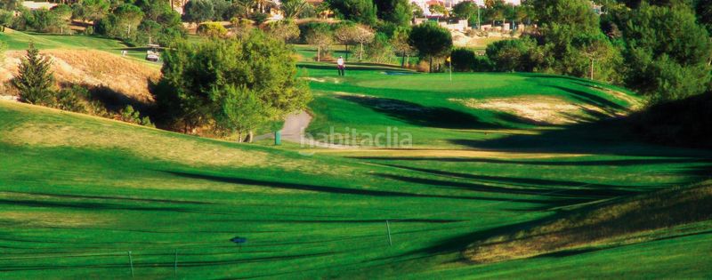 Foto 3c25e3fd-2fa5-4be8-92b1-e974ebf02da2. Dúplex amb calefacció aparcament piscina a Monforte del Cid