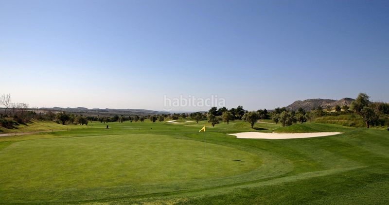 Foto 58a55071-ac81-4d6f-b79e-d6bef367a86a. Dúplex amb calefacció aparcament piscina a Monforte del Cid