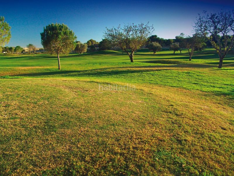 Foto 6fe039ce-4aa5-413e-97d2-e32b8ce8d819. Dúplex amb calefacció aparcament piscina a Monforte del Cid