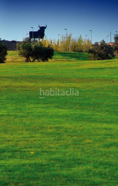 Foto a2a9311b-c9e9-44df-8033-a8682de0e906. Dúplex amb calefacció aparcament piscina a Monforte del Cid