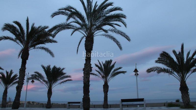 Foto e508b871-8321-46bc-869a-9379027e7b17. Piccolo appartamento con parcheggio piscina in Los Arenales del Sol Elche / Elx