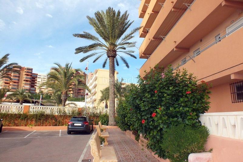 Foto 5df89063-9688-4855-9fdc-227795b9e916. Apartament amb calefacció aparcament a Los Arenales del Sol Elche / Elx