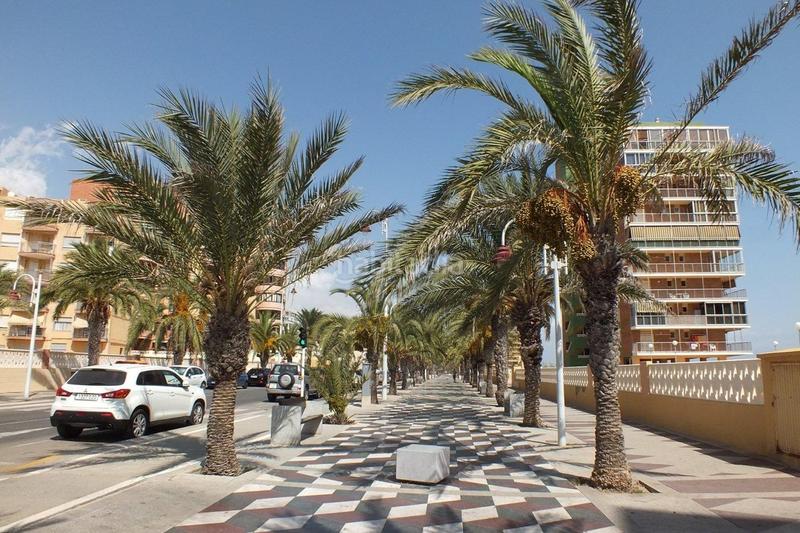 Foto 967fc125-a40b-440e-96ec-5c9a2a2d4eef. Apartament amb calefacció aparcament a Los Arenales del Sol Elche / Elx