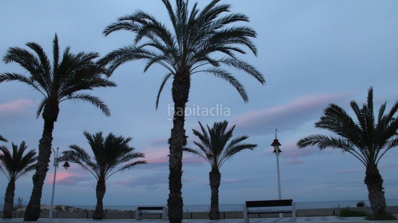 Foto cd065815-6ad0-4a8a-bd79-2acae2bfb9aa. Apartament amb aparcament piscina a Los Arenales del Sol Elche / Elx