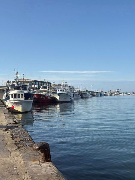 Foto a29c399b-00c0-4aba-946e-e11e71bf2b24. Pis a Centro Santa Pola