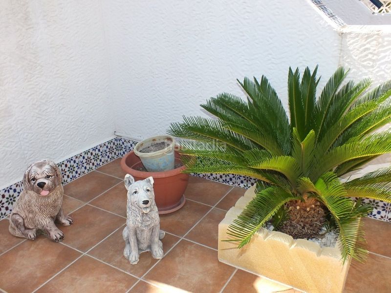 Foto b5da0e6a-c1a0-49d9-9880-75c74443ef3e. Casa amb calefacció aparcament piscina a Monte Faro-Altomar II Santa Pola