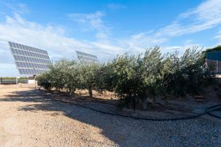 Masa en Pozo Estrecho. Finca en venta en pozo estrecho, cartagena