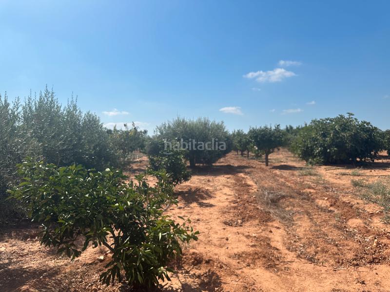 Foto 017b87cd-75a4-4647-9721-c50c7f3a711f. Masía finca rústica con vivienda en venta en La Magdalena - Molinos Marfagones Cartagena