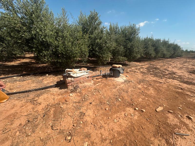 Foto 38664a4c-027c-42b7-b1e8-757a0c4f0595. Masía finca rústica con vivienda en venta en La Magdalena - Molinos Marfagones Cartagena