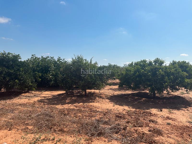 Foto 50cae2ba-658e-4d25-835a-72092d6537d9. Masía finca rústica con vivienda en venta en La Magdalena - Molinos Marfagones Cartagena