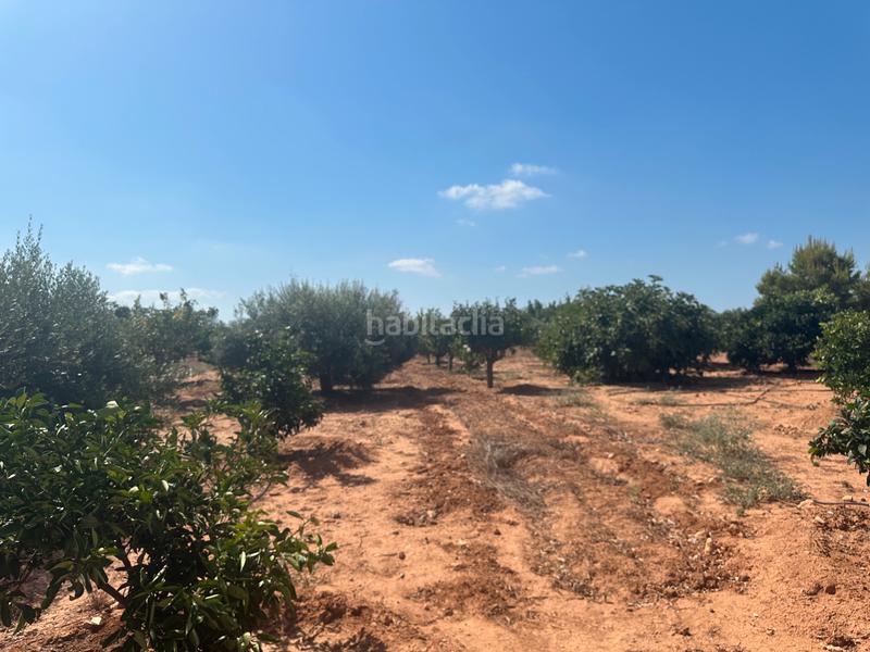 Foto 90a5efdf-0d1d-4801-8f45-6049843d5c80. Masía finca rústica con vivienda en venta en La Magdalena - Molinos Marfagones Cartagena