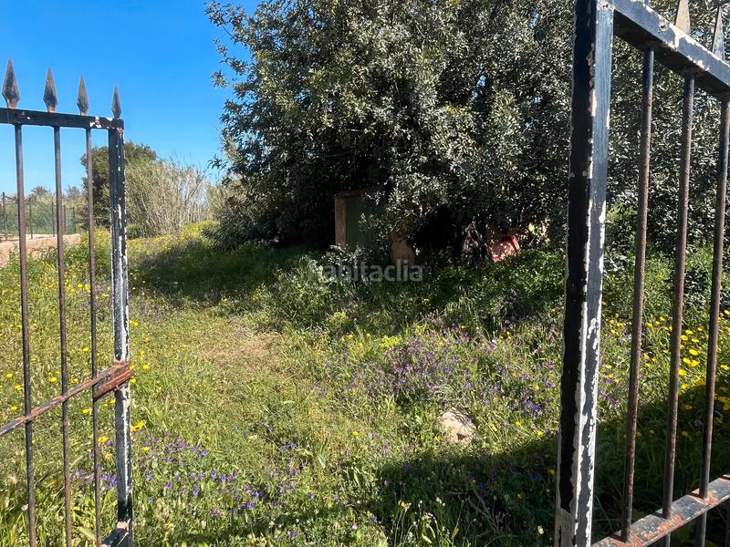 Foto 3f640807-d6cc-45bf-bf5b-fa8f1290e544. Masia a La Unión Unión (La)