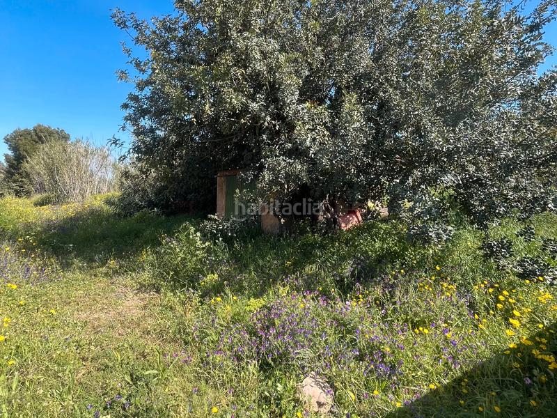 Foto 5b3215d5-d286-4344-a4af-677a6d90617c. Masia a La Unión Unión (La)