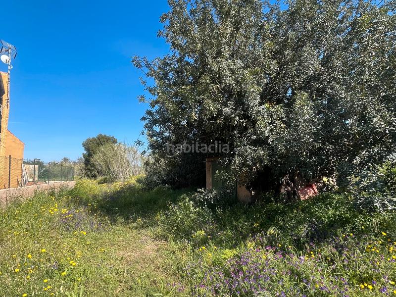 Foto 9b88f544-50c4-4e05-a667-a61dfd92ef70. Masia a La Unión Unión (La)