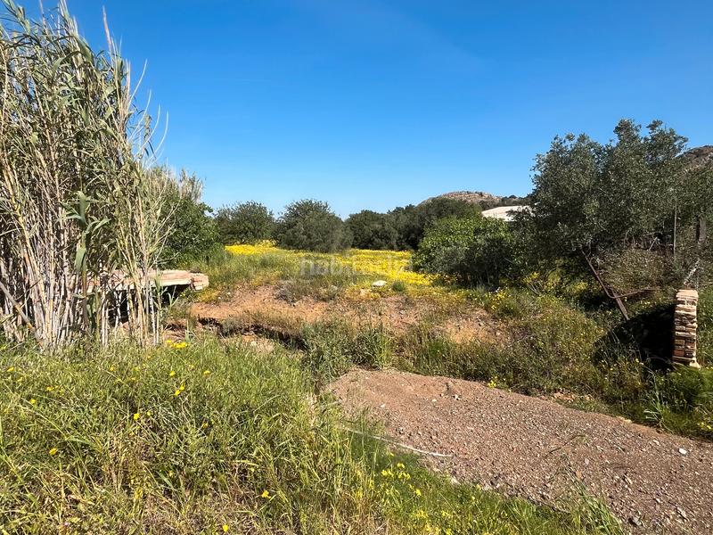 Foto d262be0d-3f6e-460d-a3ac-73d0b25f15ee. Masia a La Unión Unión (La)