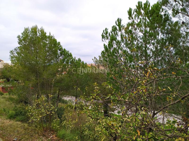 Foto a269e843-6492-43e1-8c5c-0669283d12e7. Terreno residencial en Sant Llorenç d´Hortons