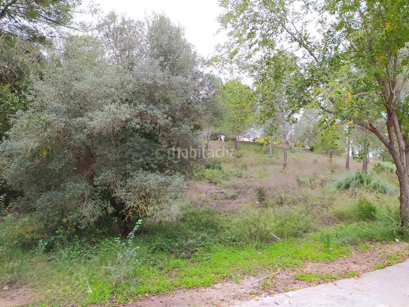 Foto 1fe0b42c-17c3-48b6-81e3-0d653ddfadfc. Terreno residencial en Sant Llorenç d´Hortons