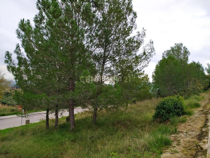 Foto 2554a31b-c1b4-4e60-9341-792669a2155f. Terreno residencial en Sant Llorenç d´Hortons