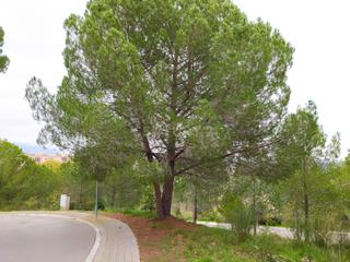Terreny residencial a Sant Llorenç d´Hortons