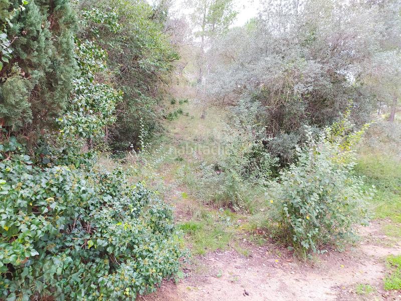 Foto d36f9ff1-b9a2-458d-9356-4c79d07b68e6. Terreno residencial en Sant Llorenç d´Hortons