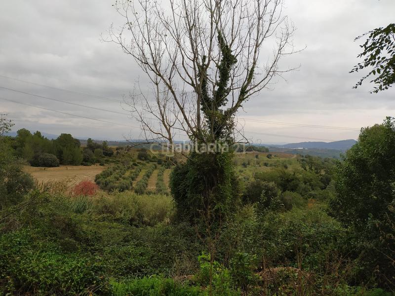 Foto ed59d6c7-2103-42c1-953c-a8ad99275410. Terreno residencial en Sant Llorenç d´Hortons