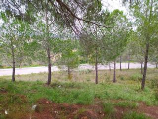 Terreny residencial a Sant Llorenç d´Hortons