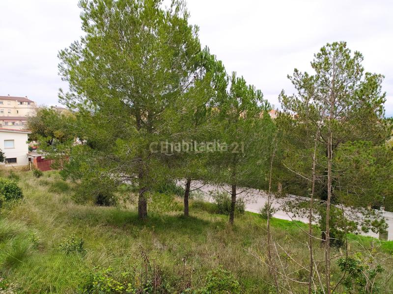 Foto 13ec0bea-05e6-4938-bde0-fe86635d1d7c. Terreno residencial en Sant Llorenç d´Hortons