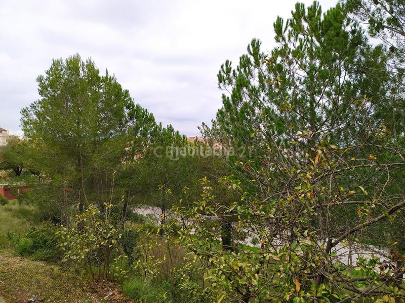 Foto ccf89f3c-40bb-46ae-8b02-3f0f6e922164. Terreno residencial en Sant Llorenç d´Hortons